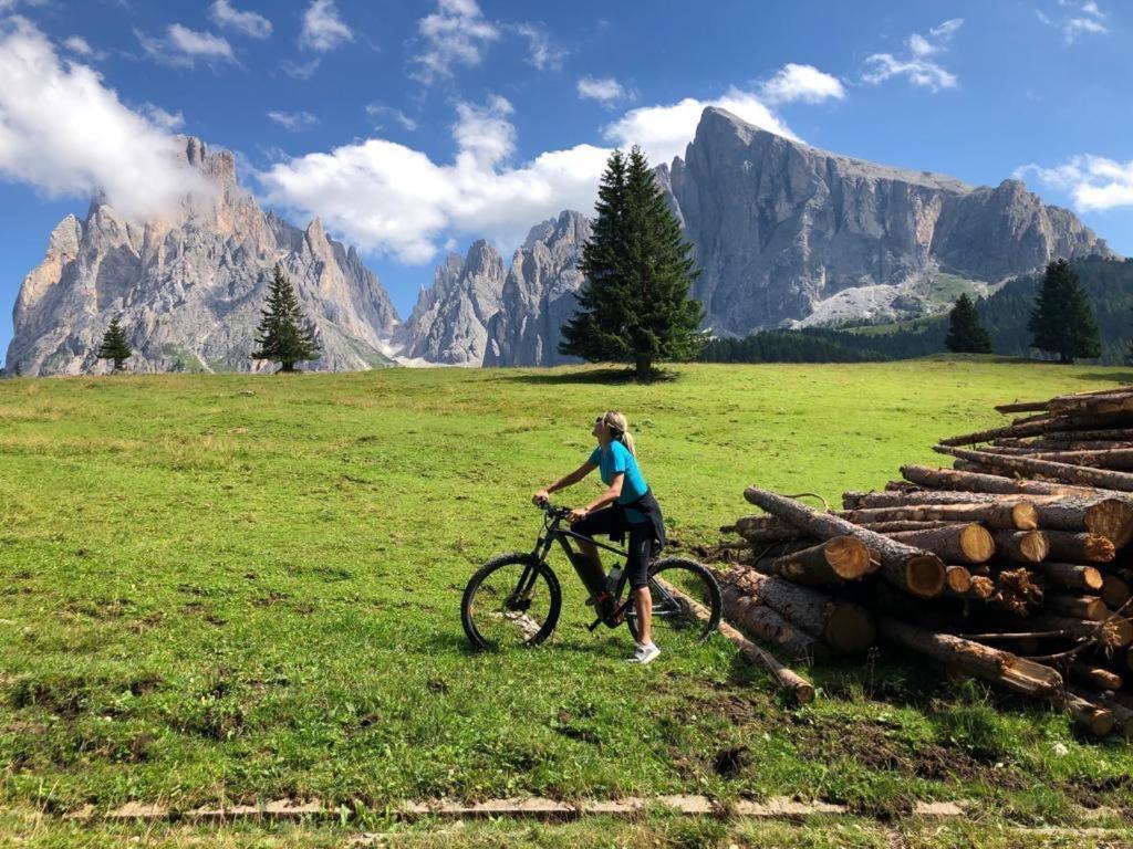 Garni Hotel Mezdi Selva di Val Gardena Dış mekan fotoğraf